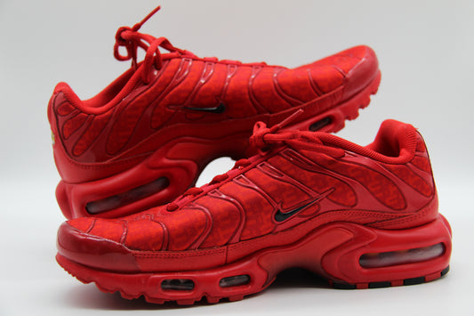 2021 Air Max Plus 'University Red'