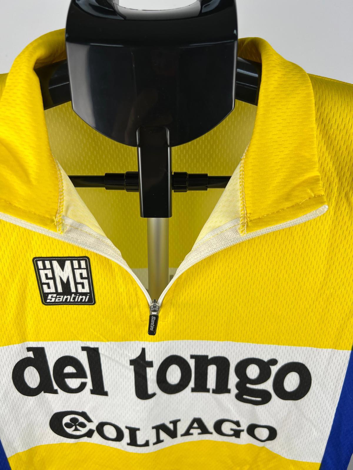 Santini Del Tongo Colnago Cycling Jersey - Yellow/Blue - Size S